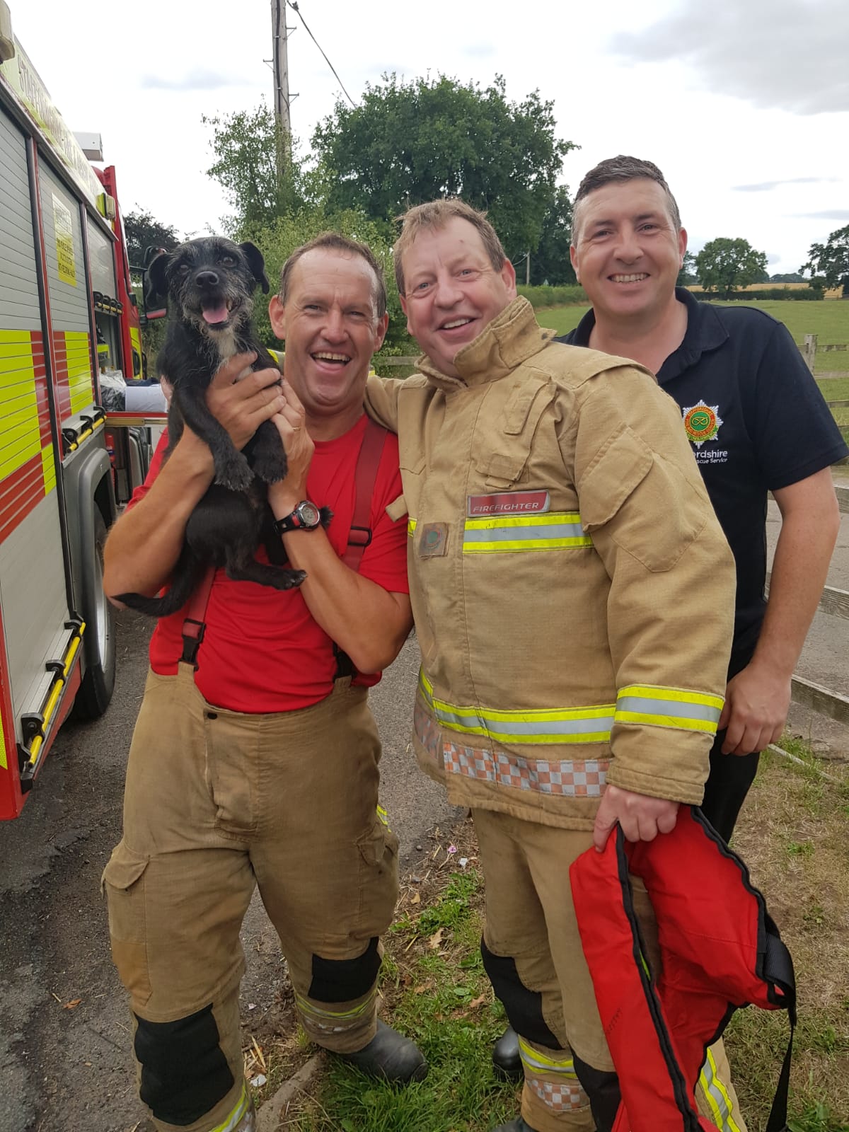 Fire Crews Rescue Jack Russell Dog